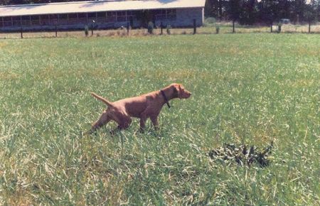Image of Rains Clarity Of Bethwood