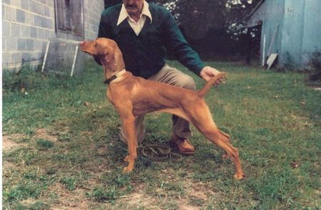 Image of Bethwood's Gia