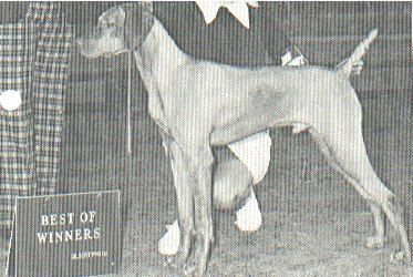 Image of Bayzil Richards