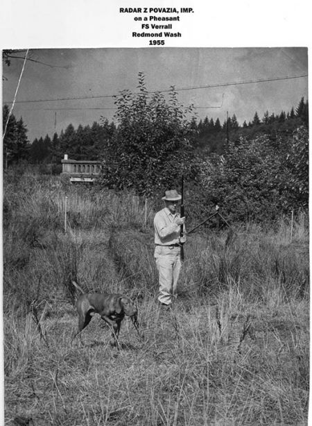 Image of Radar z Povazia