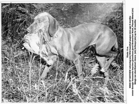 Image of Nikki of Bayview