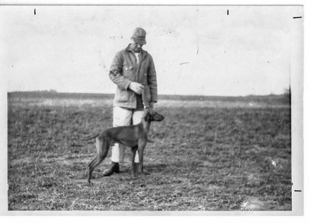 Image of Osborn's Starfire