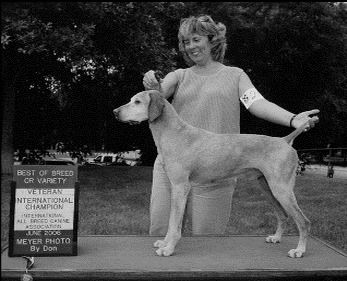 Image of Dry Creek Pappomatic / Hawks Pappomatic