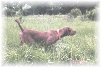 Image of Onpoint's Jackie D