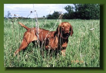 Image of Onpoints X Rayted