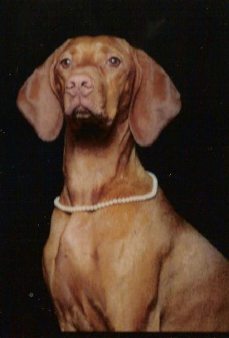 Image of Tierah's Sadie Hawkins