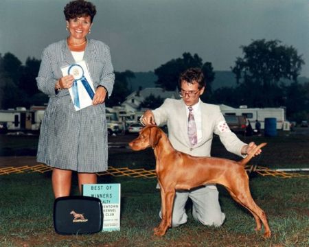 Image of Bajos Flockati Tasha Yar