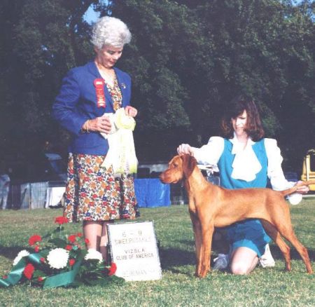 Image of Tierah's Golly Miss Molly
