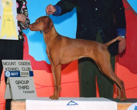 Image of Boulder's Cassiopeia Rising