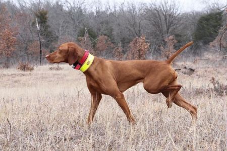 Image of Zydeco's First You Make A Roux