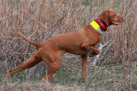 Image of Lagniappe Roux