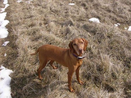 Image of Bajos November Rum Es Teya