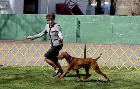 Image of Wasatch Mtns Early Ride To Victory