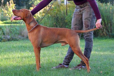 Image of Frédi z Horných Salib