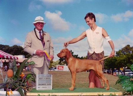 Image of Ciganyoz Have N Have Not