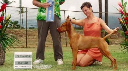 Image of Ciganyoz Have N Have Not