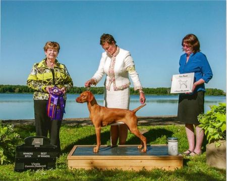 Image of Kyllburg N Gossamer's Somelike It Hot