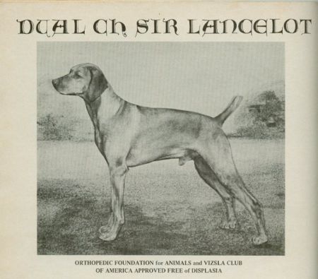 Image of Sir Lancelot