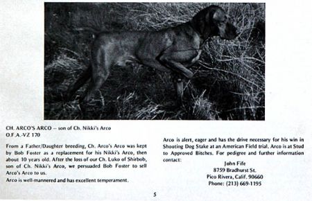Image of Arco's Arco