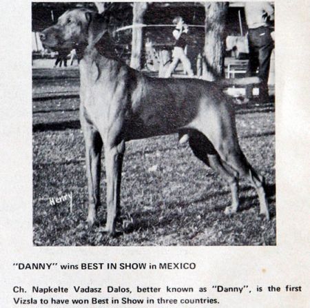 Image of Napkeltei Vadasz Dalos