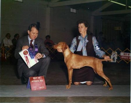 Image of Behi Csecse Gyors Lab