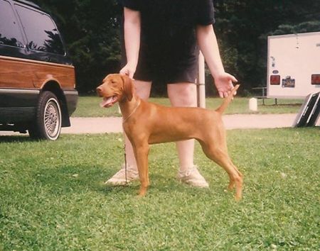 Image of Legacy's Sunrise Serenade