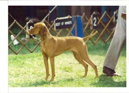 Image of Legacy Sunrise Indian Jewel