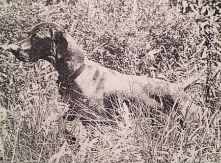 Image of Loughran-Field Sundance Boelte