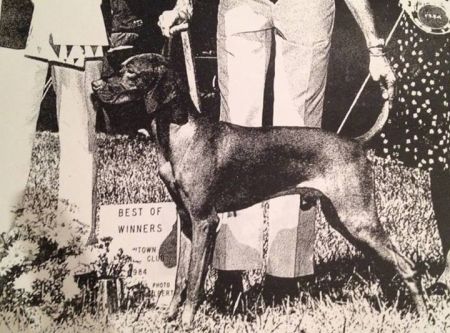 Image of Loughran-Field Sundance Boelte