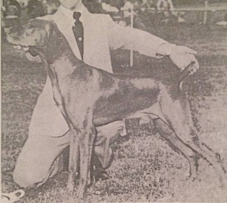 Image of Miklos Heliker