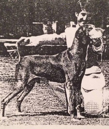 Image of Miklos Heliker