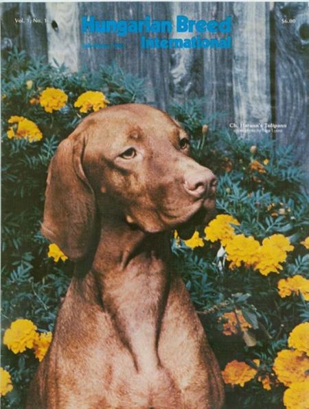 Image of Harann's Tulipann