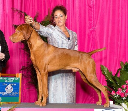 Image of Bluewater's Fionn Mac Cumhaill Of Skipfire