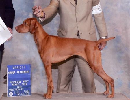 Image of Aldebaran's Hear Me Ruairi