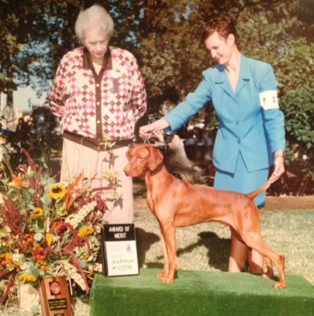 Image of Lyons Woodland Explorer