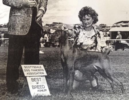 Image of Russet Leather's Free Spirit