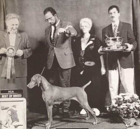 Image of Sandyacres Russet Majesty