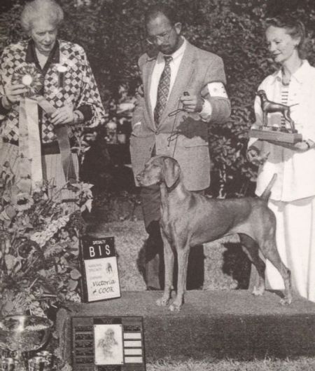 Image of Sandyacres Russet Majesty