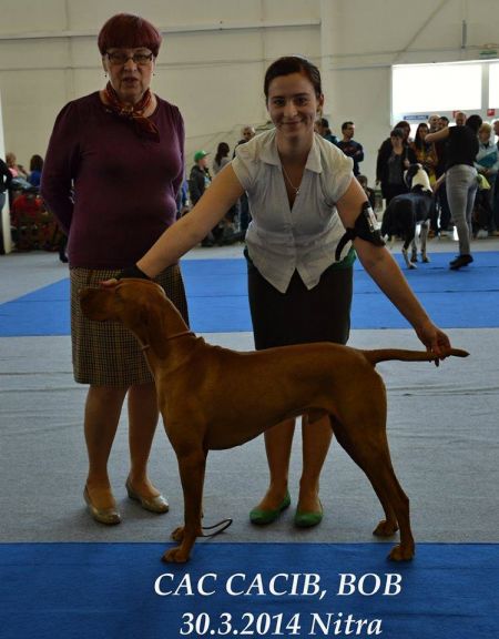 Image of Crazy Tajemství Karpat