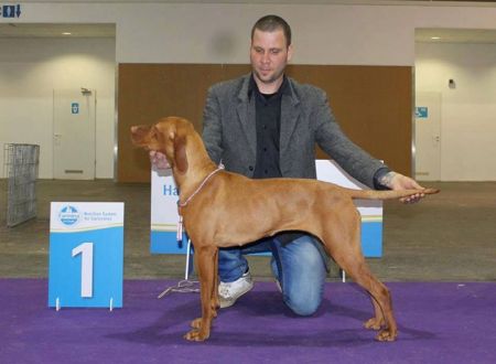 Image of Nemzet Kincse Amulett