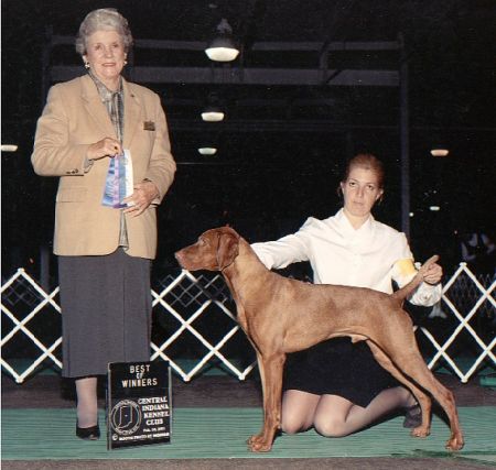 Image of Paradox Final Answer