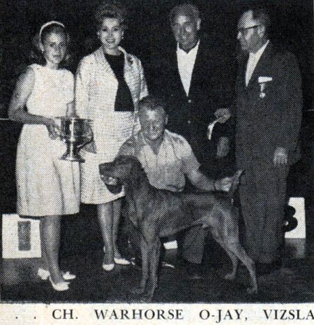 Image of Warhorse O-Jay