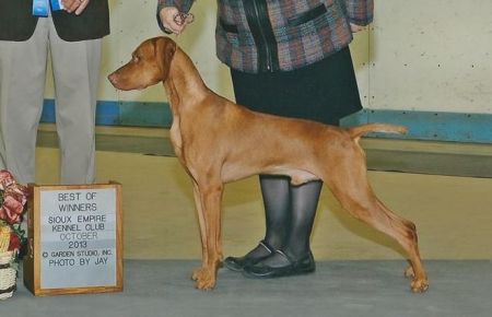 Image of Kizmar Chrisand This Might Shock You