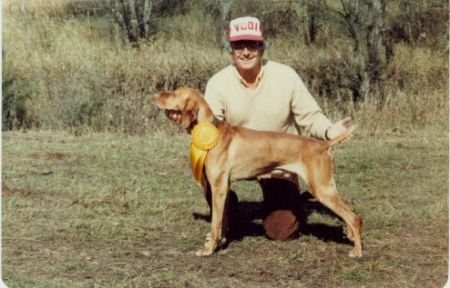 Image of Ceasar's Image Barging Buck