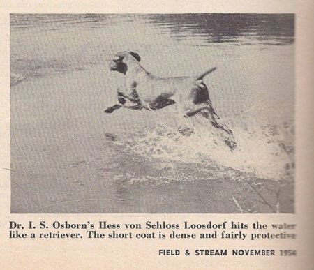 Image of Hess von Schloss Loosdorf