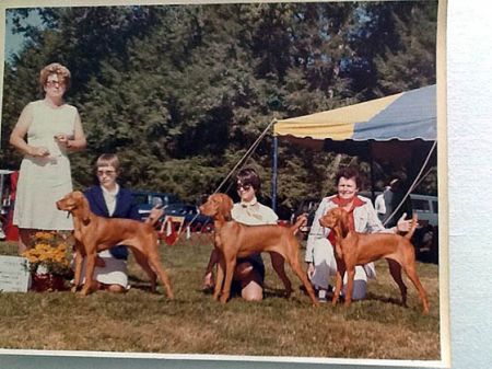 Image of Firebrand's Constant Comment