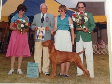 Image of Sasco's Melto Mariner