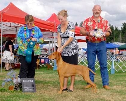 Image of Jaybren's Bob's Farfel