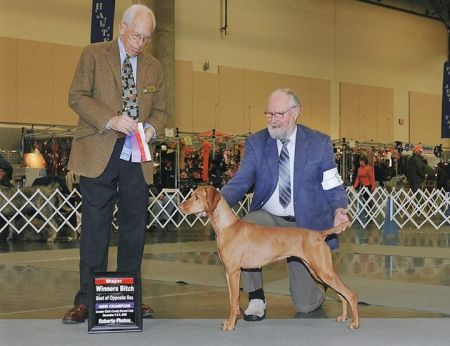 Image of Jaybren's Four-Leaf Lohere