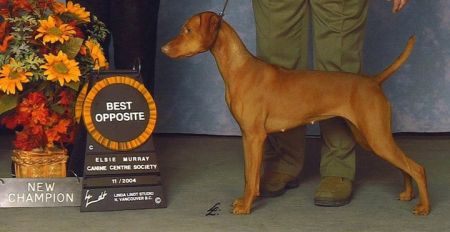 Image of Jaybren's Balkiralyno